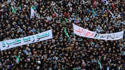 "سقط الأسد".. صباح سوري حر في غربتي اللعينة